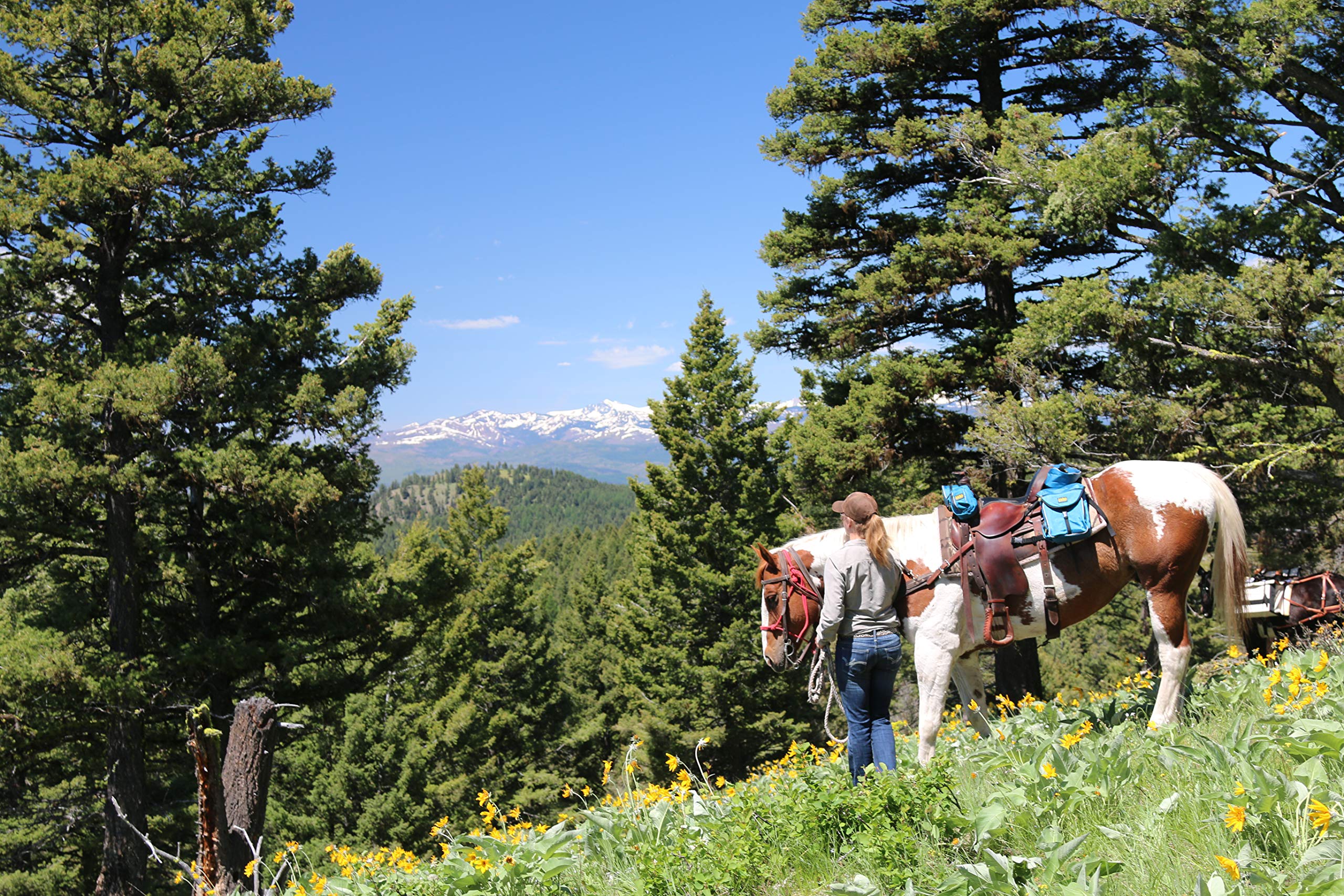 TrailMax 500 Series Deluxe 5-Piece Saddlebag System for Horse Trail Riding - Waterproof Front Pocket, Rear Saddle Bags, Cantle Bag & Pommel Horn Pocket with Bonus Water Bottle Carrier | Perfect for Long Distance Riding, Camping & Outdoor Adventures