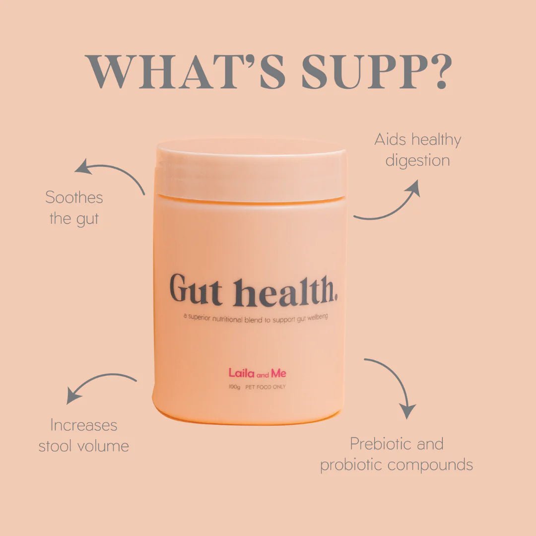 Premium Probiotic Dog Food Supplement for Gut Health - 120g Digestive Support for Dogs - Promotes Healthy Digestion & Immune System - Ideal for Sensitive Stomachs & Daily Wellness