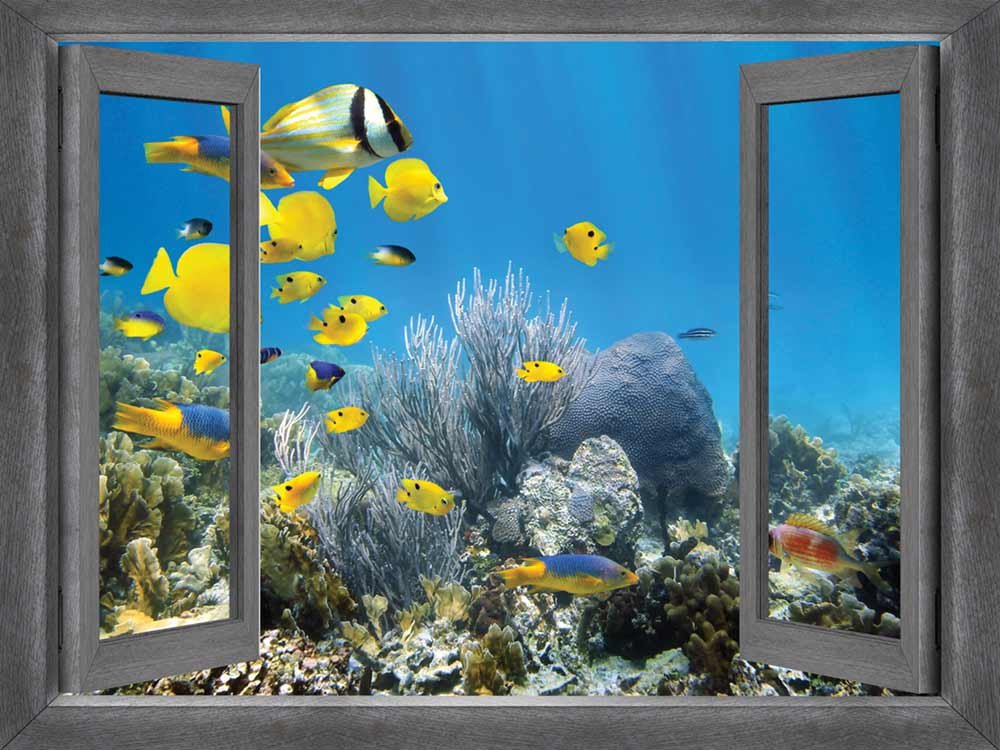 Open Window Creative Wall Decor - Yellow Fish Swimming School Mural, Removable Sticker for Home & Office - 24x32 Inches - Perfect for Kids' Room, Nursery, or Aquatic-Themed Spaces