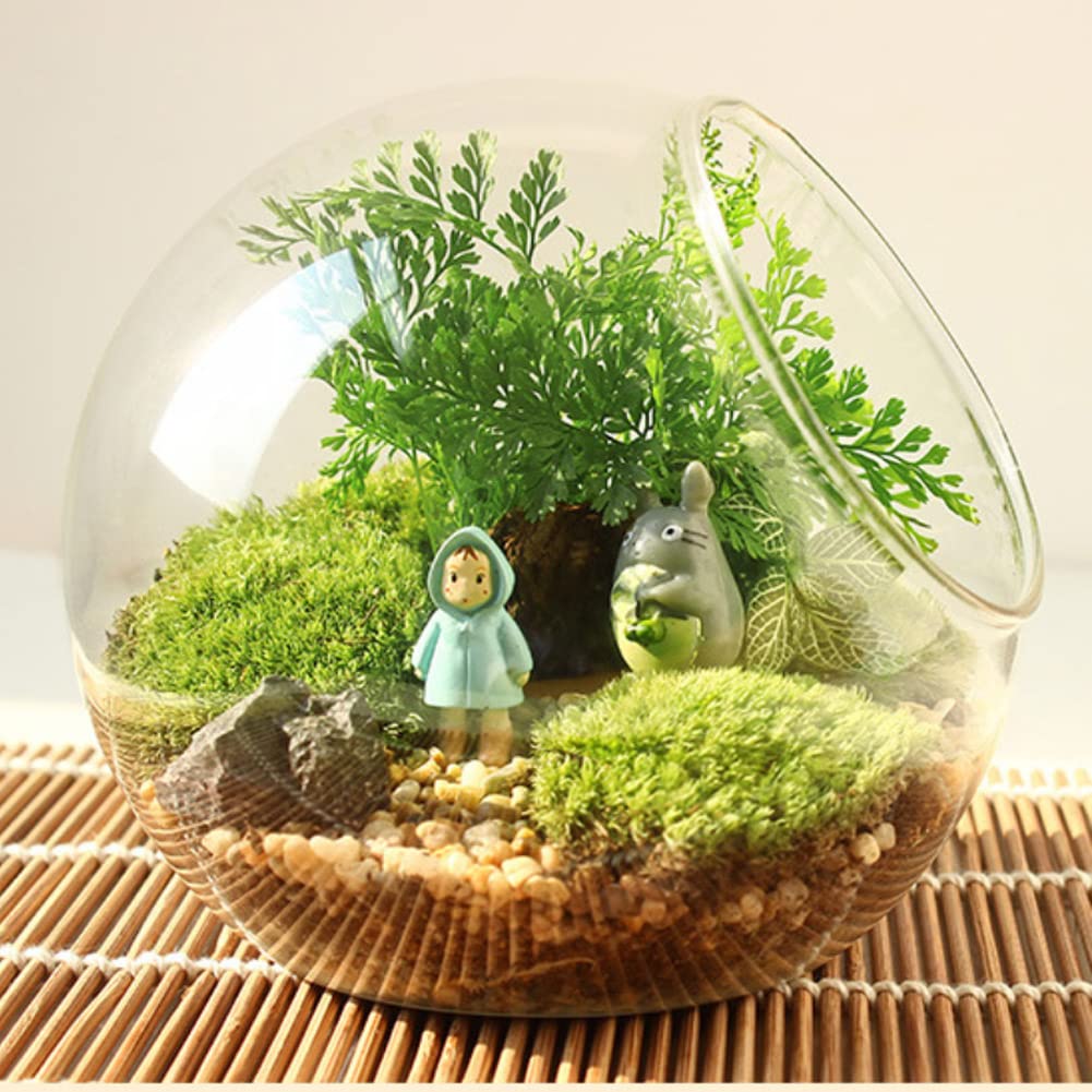 Mini Glass Terrarium Planter for Succulents & Air Plants - Elegant Tabletop Display Vase for Home, Office Decor, Wedding Centerpiece & Gift Idea