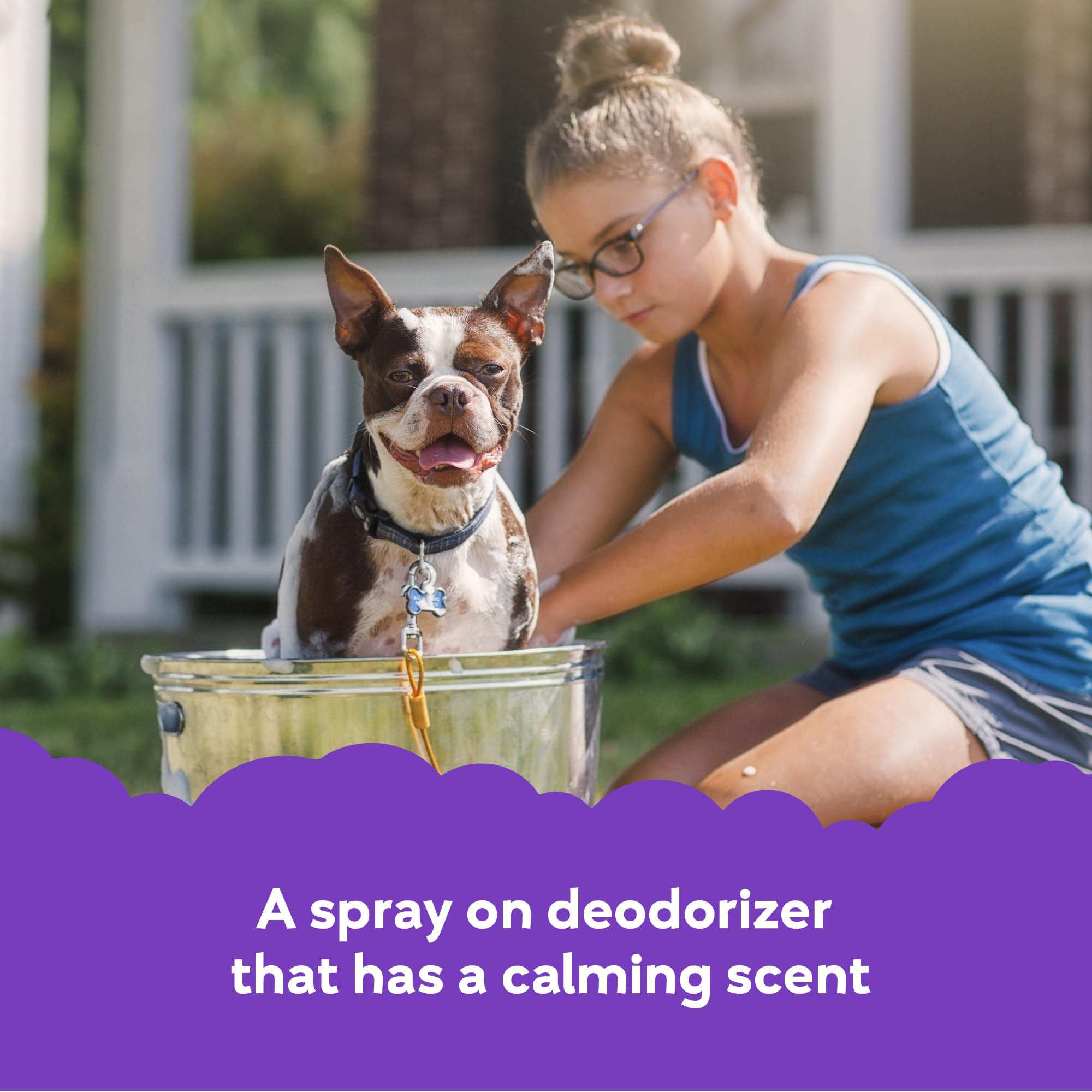 Buddy Splash Spritzer & Conditioner for Dogs - Lavender & Mint Scented Leave-In Spray (4oz) | Detangling, Moisturizing & Deodorizing Dog Grooming Spray | Perfect for Bath Time, Brushing & Between Washes