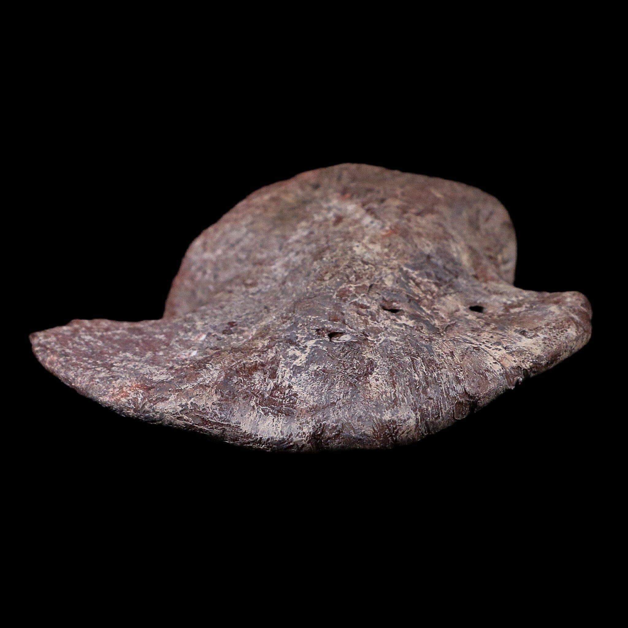 2.8