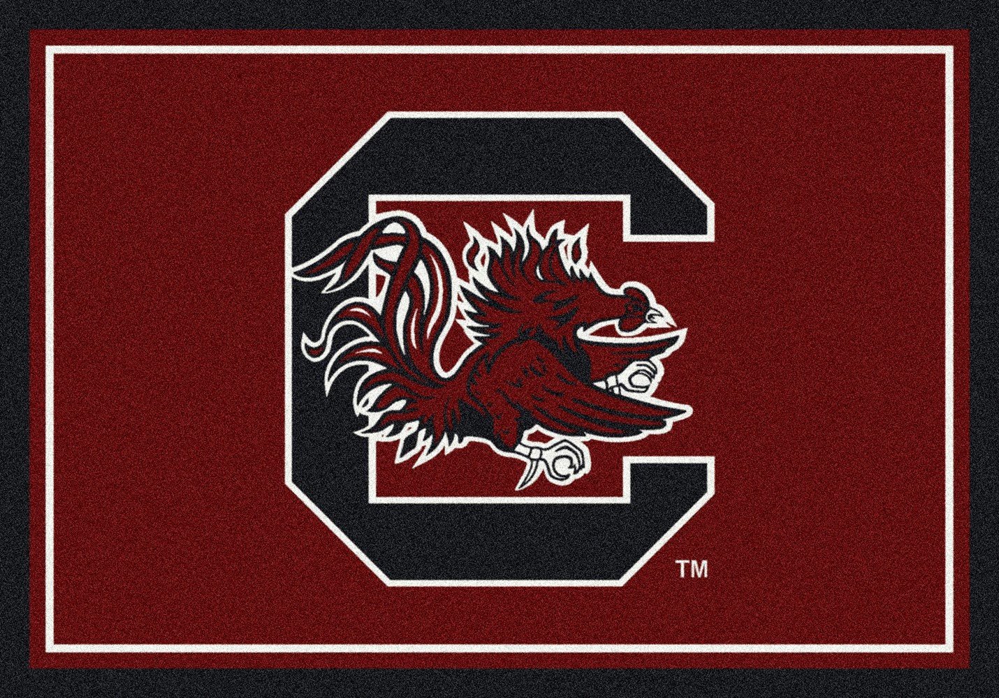 South Carolina Gamecocks NCAA College Team Spirit Floor Mats - Non-Slip Team Logo Area Rugs for Dorm, Living Room & Game Day Decor