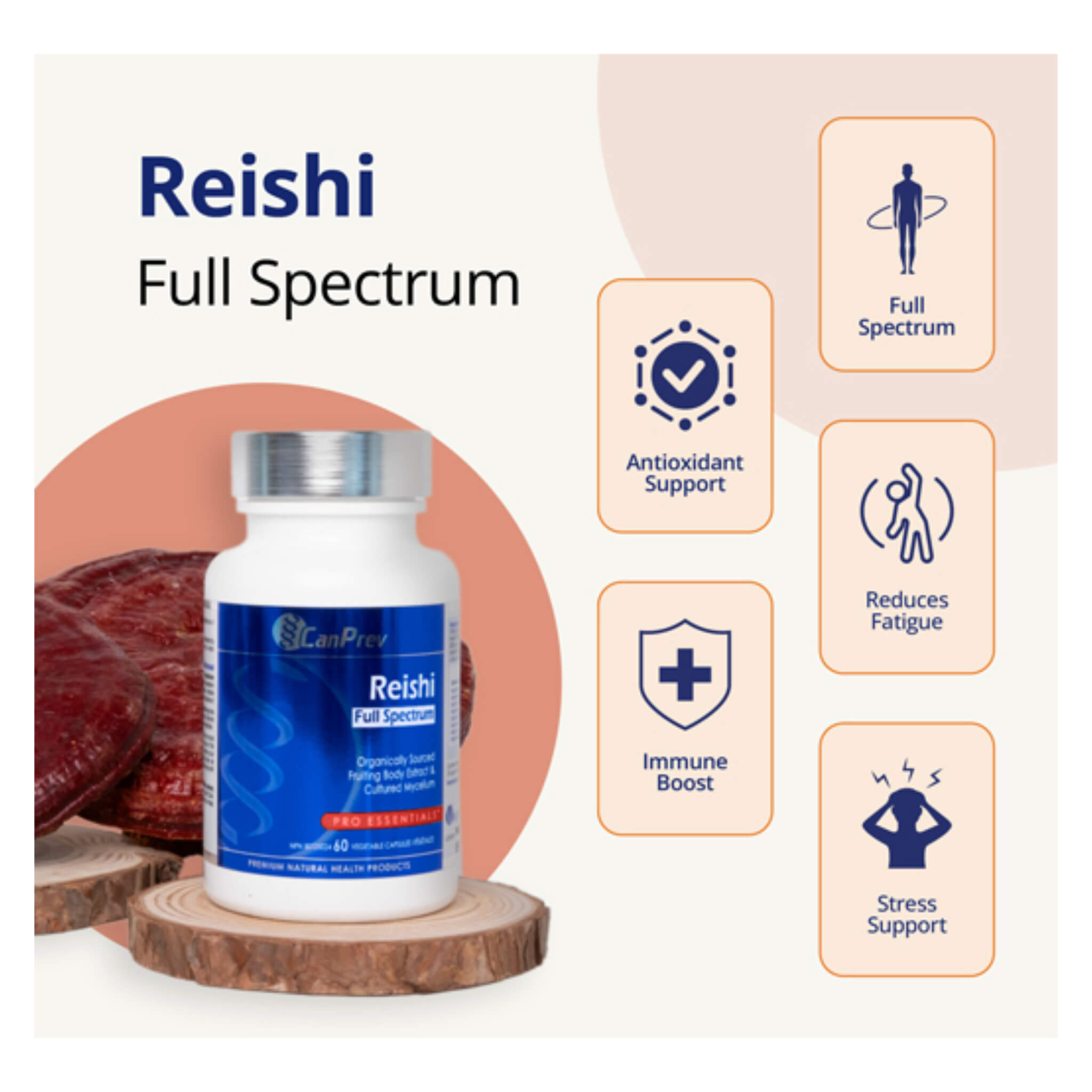 Organic Reishi Mushroom Extract - Full Spectrum 10:1 Powder - Immune Support & Stress Relief - Vegan, Non-GMO, Gluten-Free - Perfect for Smoothies, Teas & Wellness Drinks