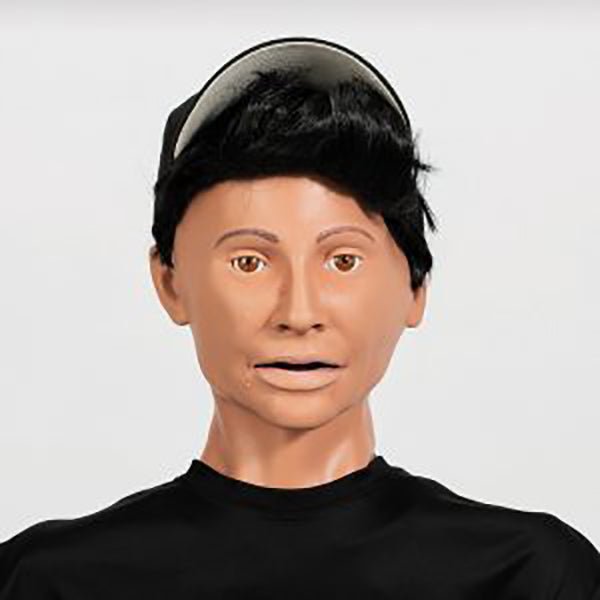 DANi Auscultation Patient Skills Trainer - Medical Training Simulator for Heart & Lung Sounds Practice - Perfect for Nursing Students & Healthcare Professionals