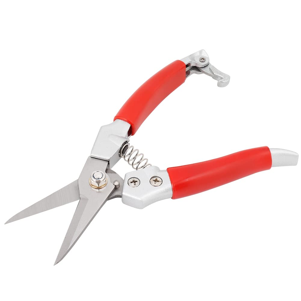 Premium Garden Pruners & Pruning Shears - Sharp Stainless Steel Blades, Ergonomic Red Handle for Comfort - Perfect for Trimming Plants, Shrubs, Flowers & Garden Maintenance (Ideal for Home Gardeners & Professional Landscapers)