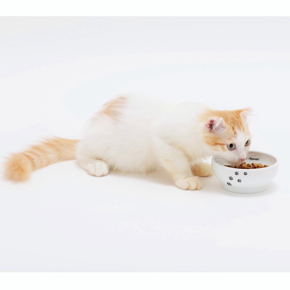 Necoichi Ceramic Cat Bowls Set - Whisker Friendly, Anti-Spill Cat Food & Water Dishes for Indoor Cats & Kittens | Paw Design Pet Feeding Bowls for Stress-Free Mealtime at Home