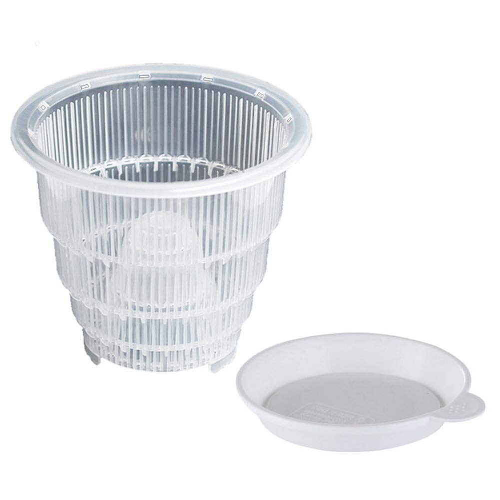 Breathable Root Control Pot with Tray - 10cm Transparent Flower Planter Basket for Succulents, Orchids & Indoor Plants | Perfect for Home Decor, Gardening & Hydroponics