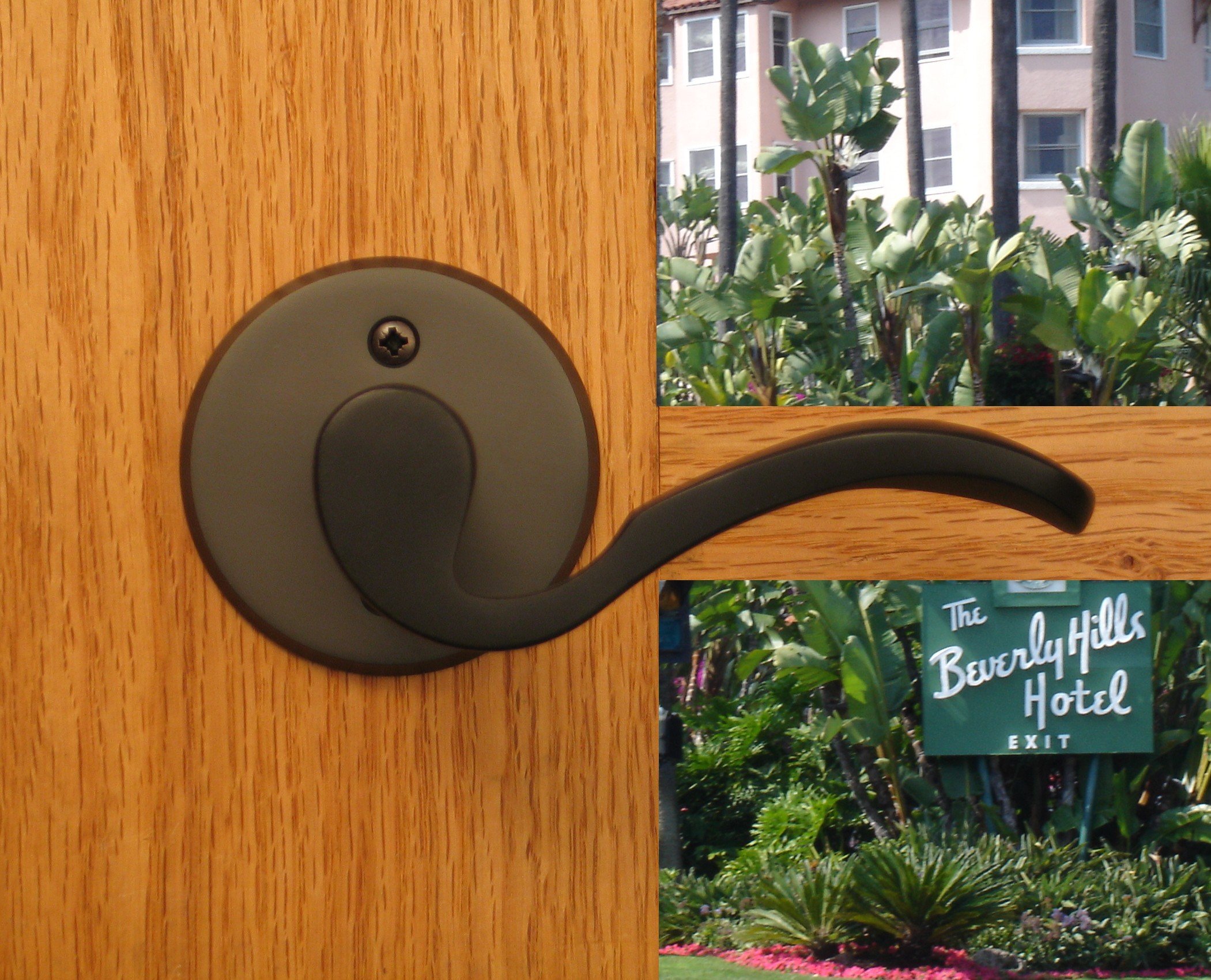 Beverly Dummy Door Lever Handle & Escutcheon Back Plate - Polished Brass Finish for Inactive Double Doors & Closet Doors | Perfect for Bedrooms, Walk-in Closets & Interior Decor