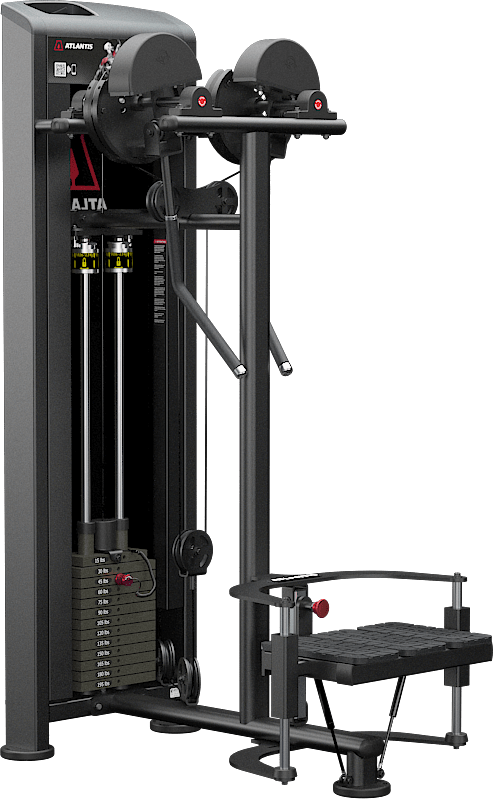 ATLANTIS Standing Lateral Raise Machine for Shoulder Workout - Gym Strength Training Equipment for Deltoid Muscles - Perfect for Home & Commercial Use