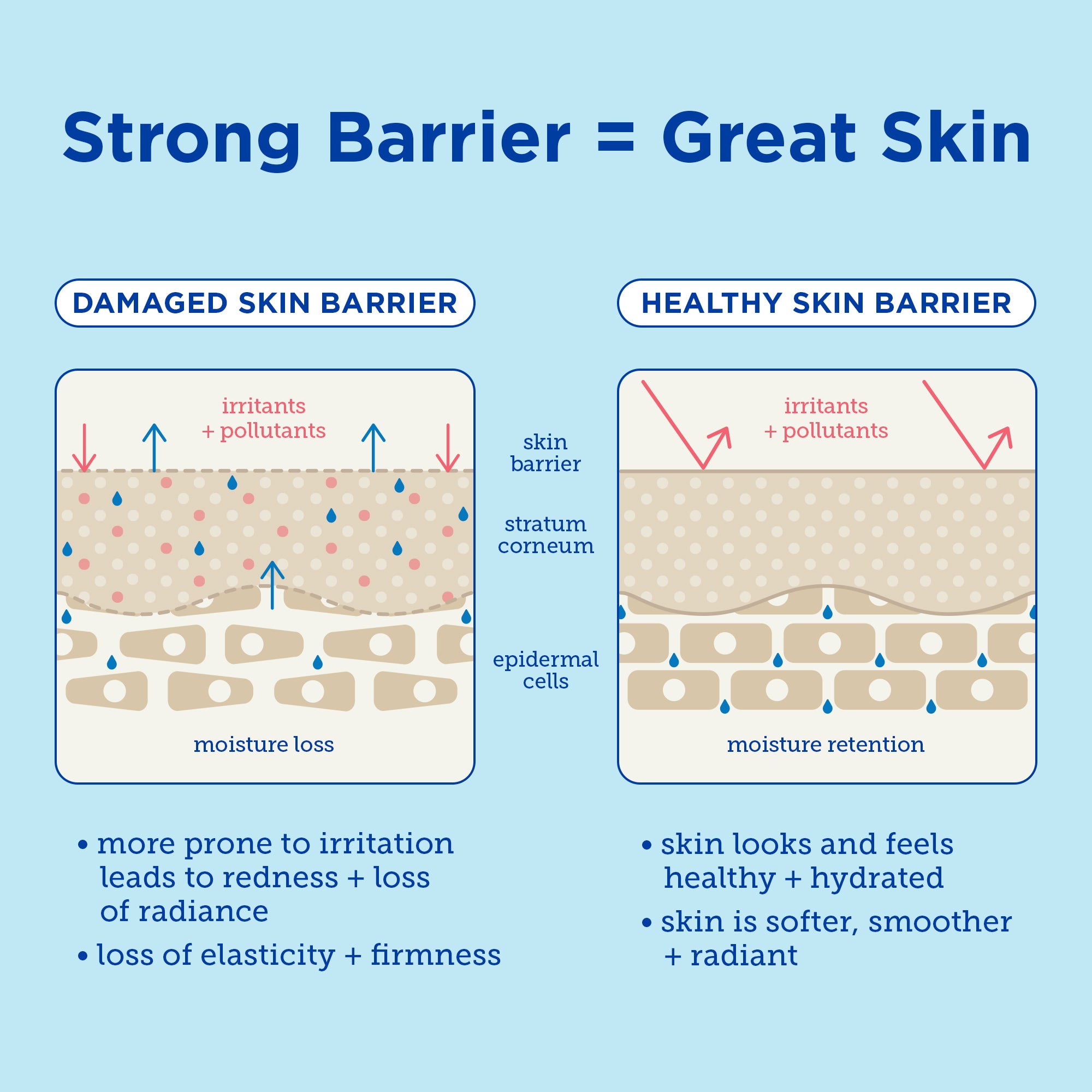 Barrier+ Triple Lipid Hyaluronate Serum - Anti-Aging Face Serum for Hydration & Skin Barrier Repair | Perfect for Dry Skin & Nighttime Skincare Routine