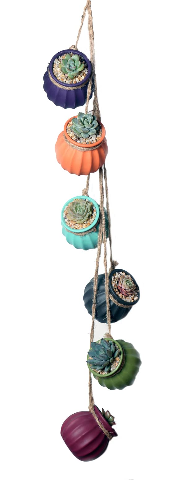 6PCS 4.0 Inch Hanging Succulent Planters - Ceramic Wall & Ceiling Mount Plant Pots for Indoor/Outdoor Decor - Perfect for Home, Office, Balcony & Garden Succulent Display