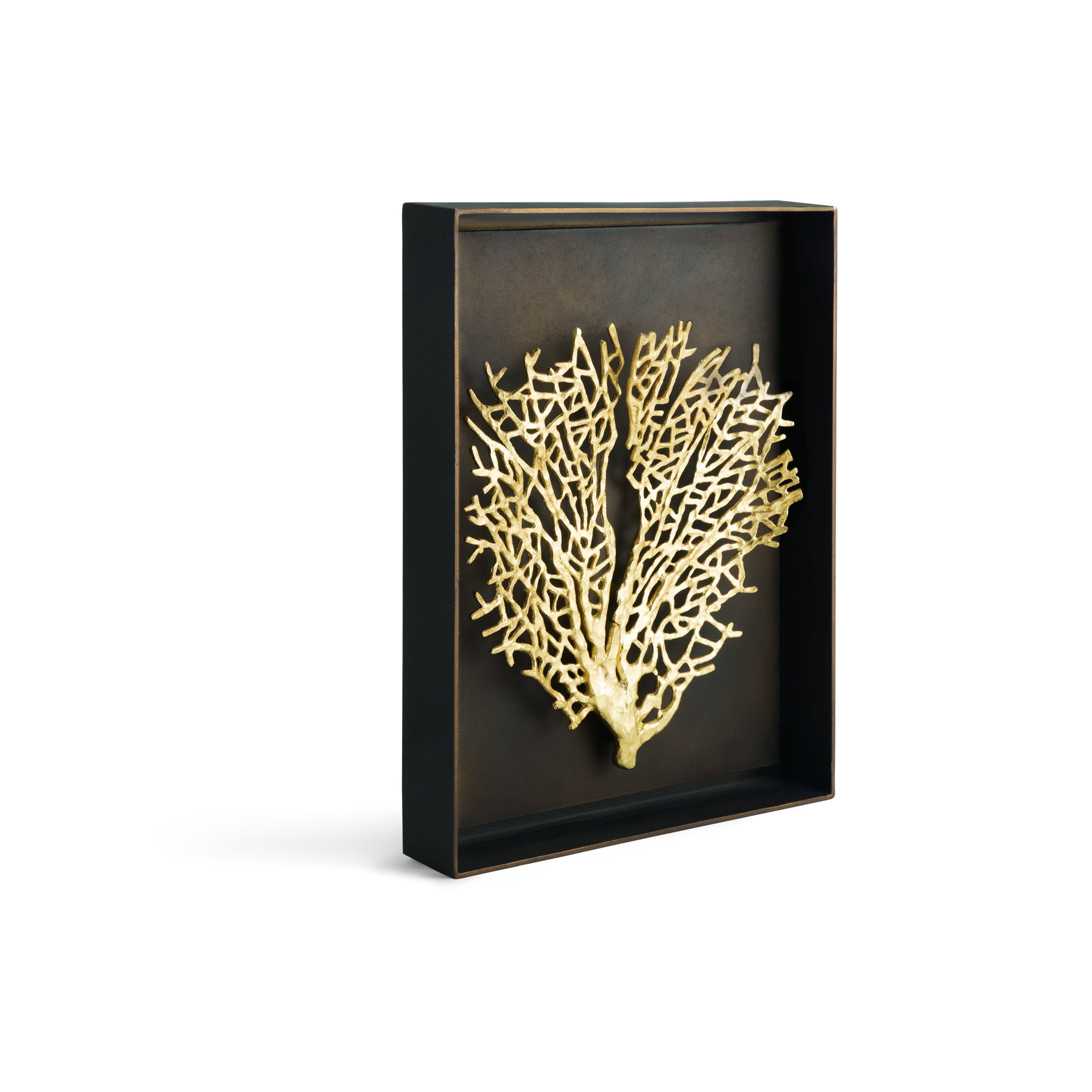 Beautiful Fan Coral Shadow Box - Handcrafted Home Decor for Beach House, Coastal Living Room & Nautical Theme Bedroom