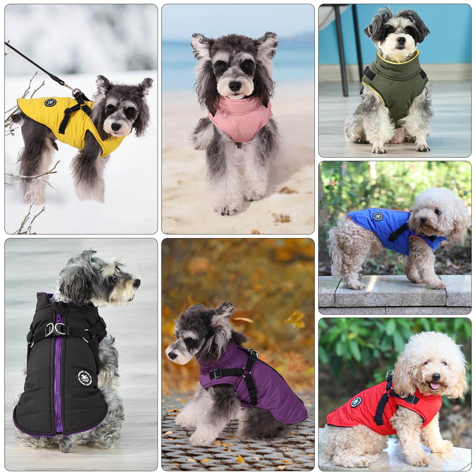 Norbi Dog Winter Coat with Built-in Harness - Adjustable Warm Dog Jacket for Small, Medium & Large Dogs | Cold Weather Protection for Outdoor Walks & Adventures