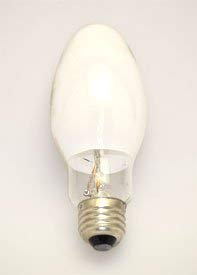 Technical Precision LU50/D/MED Replacement Light Bulb - Long-Lasting Energy Efficient LED Bulb for Home, Office, and Commercial Lighting