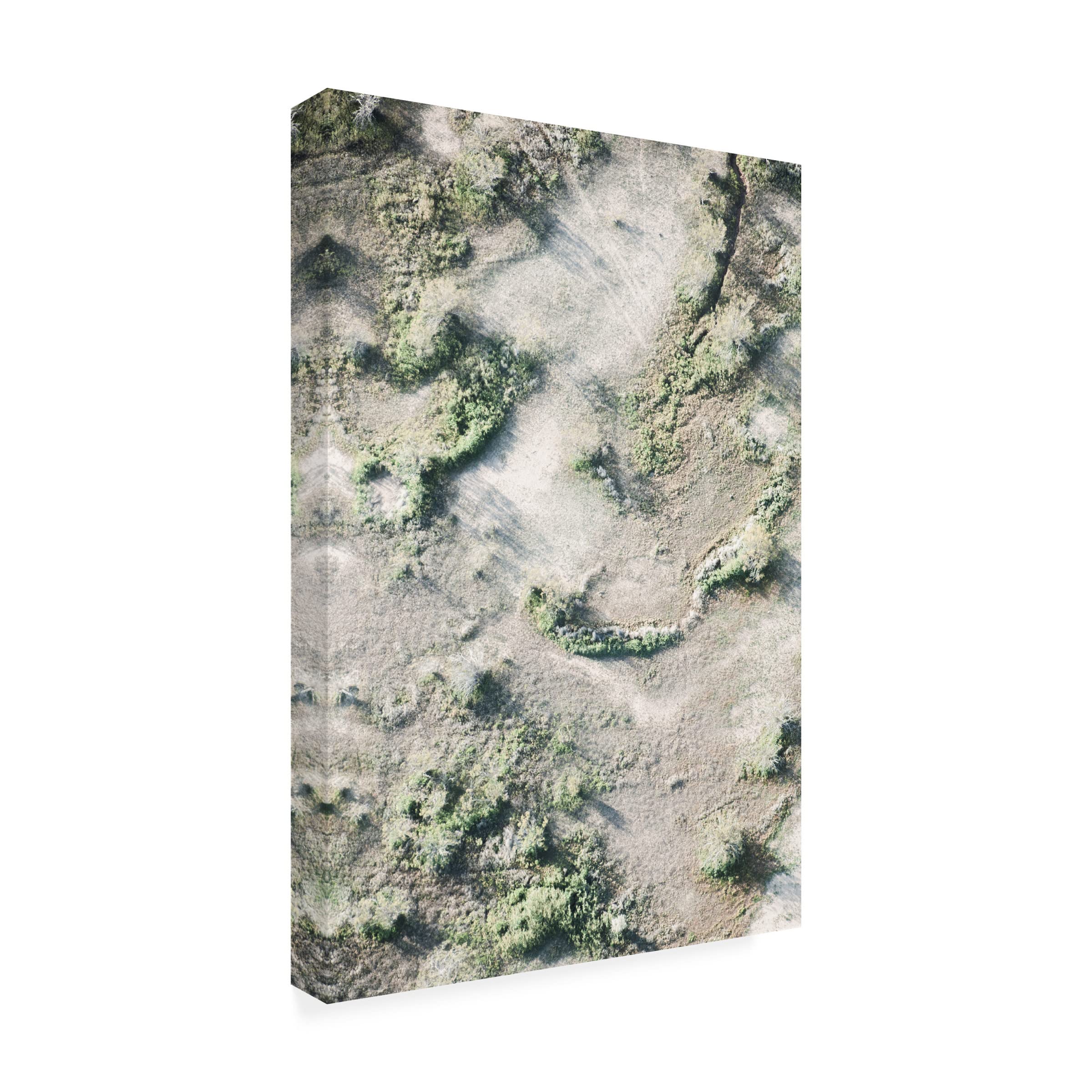 Blue Palomino 'Topography Sand And Shrub' Canvas Wall Art Print - Modern Landscape Painting for Living Room, Bedroom & Office Decor
