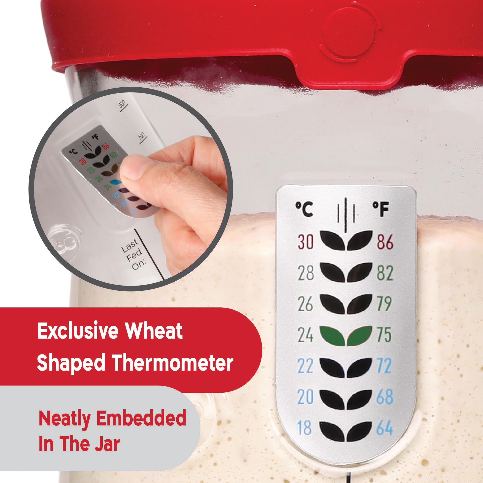 Pro Sourdough Bread Starter Kit - 34oz Large Capacity Jar with 5 Unique Features | Perfect for Homemade Sourdough Bread Baking | Ideal for Beginners & Expert Bakers | Kitchen Baking Supplies for Bread Making