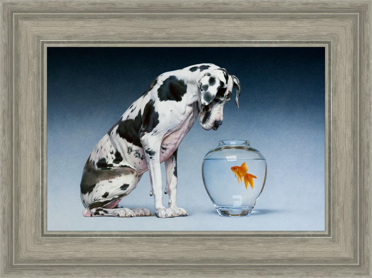 Dane And Fish By Chris Young - Premium Fishing Gear & Accessories for Outdoor Enthusiasts | Perfect for Freshwater & Saltwater Fishing Adventures