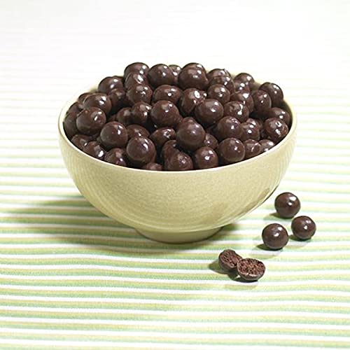 Proteinwise Chocolate Soy Snacks - High Protein, Low Carb for Healthy Diet & Fitness