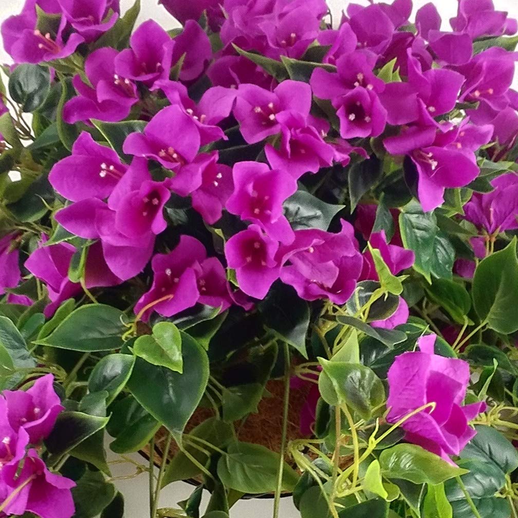 Set of 2 Hanging Coconut Palm Baskets with Artificial Bougainvillea Silk Flowers - Purple & Red Floral Decor for Patio, Porch, or Garden