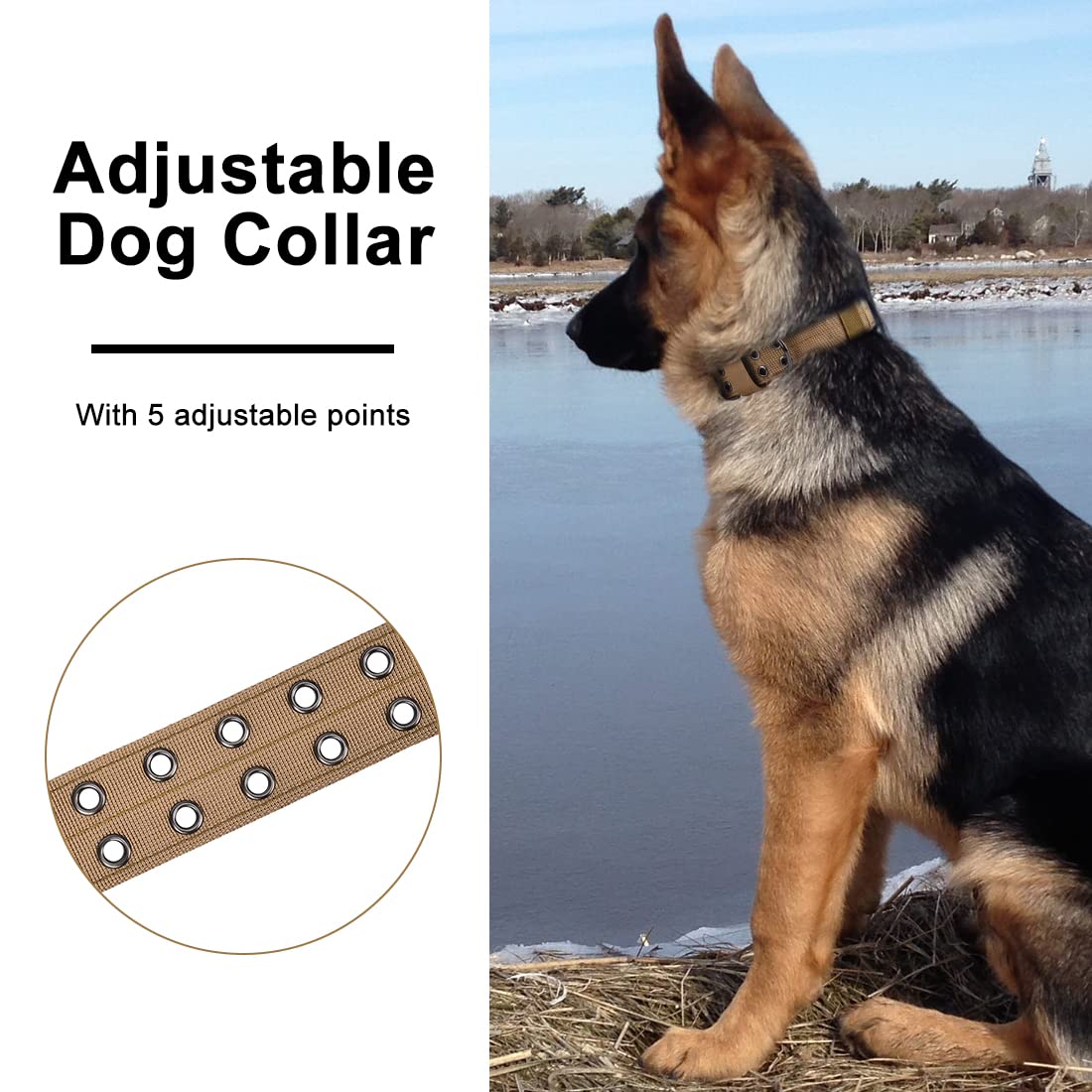 Heavy Duty Tactical Dog Collar 1.5