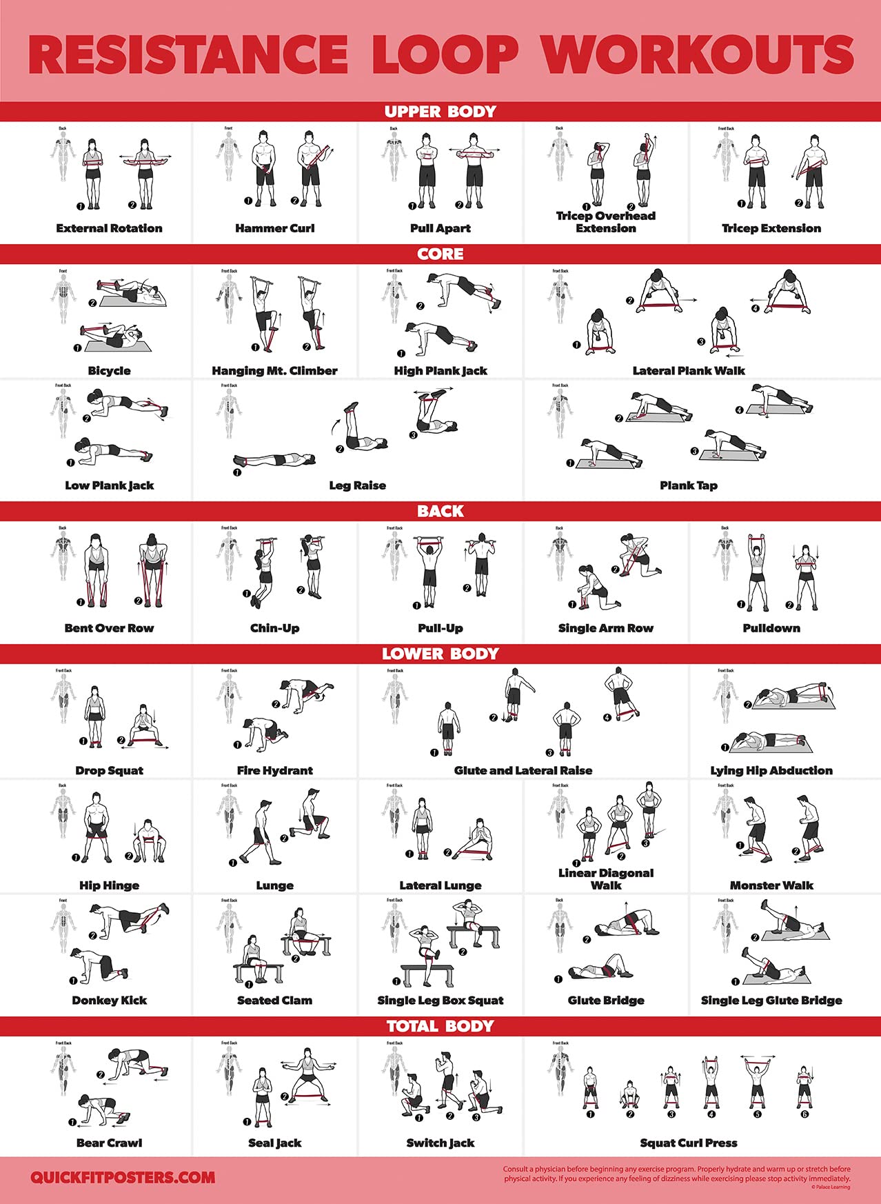 2 Pack Resistance Bands & Loops Workout Posters - Set of 2 Laminated Exercise Charts for Home Gym, Physical Therapy & Fitness Training | Palace Learning