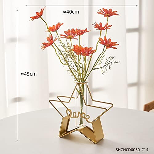 XXCCHH Glass Test Tube Hydroponic Plant Vase - Creative Terrarium Flower Holder for Home & Office Decor, Desktop Ornament, Unique Gift Idea for Plant Lovers (Type K)