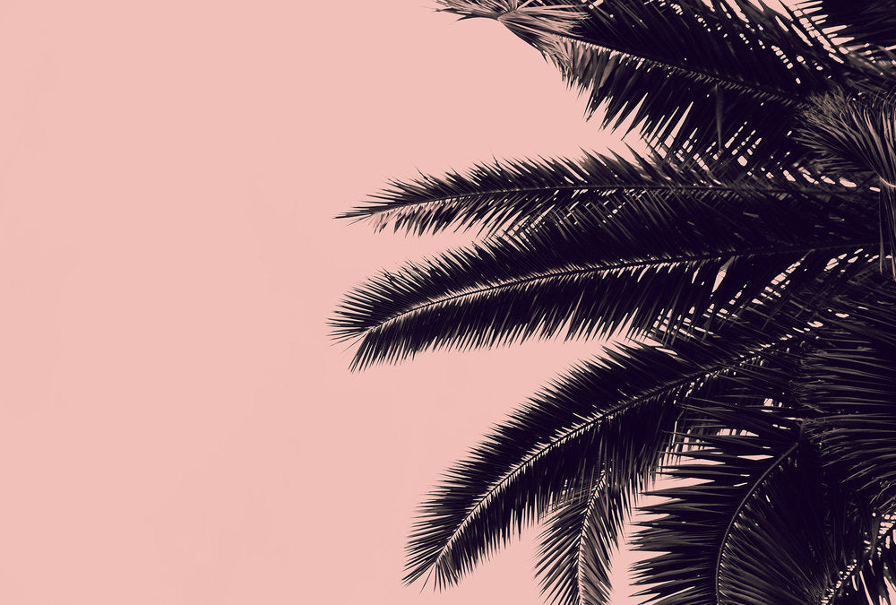ARTist Palm Tree Wall Art - Tropical Beach Decor for Home, Office & Vacation Rentals - Perfect for Coastal, Boho & Nautical Themes
