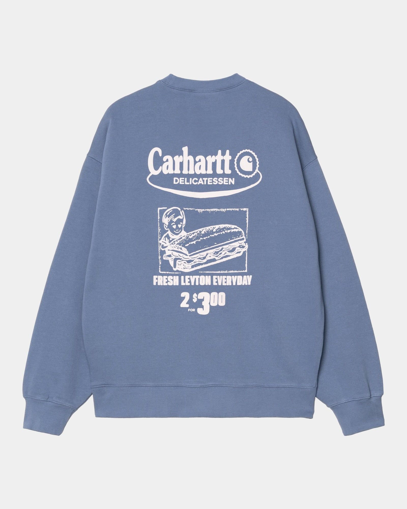 Trendy Blue Iris & Air Pink Catalogue Sweatshirt for Women | Soft Cotton Pullover Hoodie | Perfect for Casual Wear, Gym, and Outdoor Activities