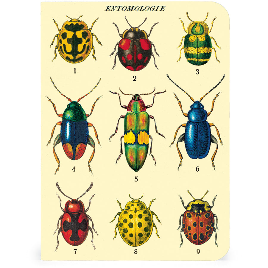 Cavallini & Co. Bugs & Insects Mini Notebook Set - 3 Pack, Pocket-Sized Journals for Nature Lovers, Travelers & Students - Perfect for Field Notes, Sketching & Gift Giving