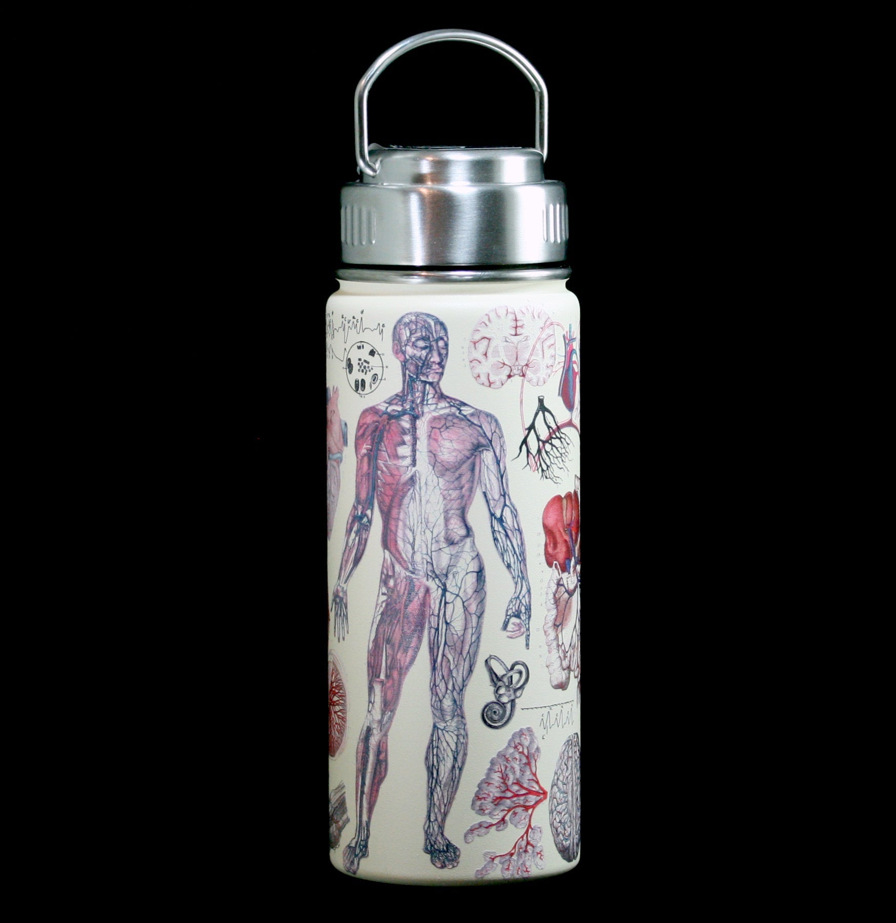 Premium Stainless Steel Vacuum Insulated Anatomy Flask - Double Wall Thermal Design for Hot & Cold Beverages - Ideal for Lab, School, Science Class & Outdoor Activities