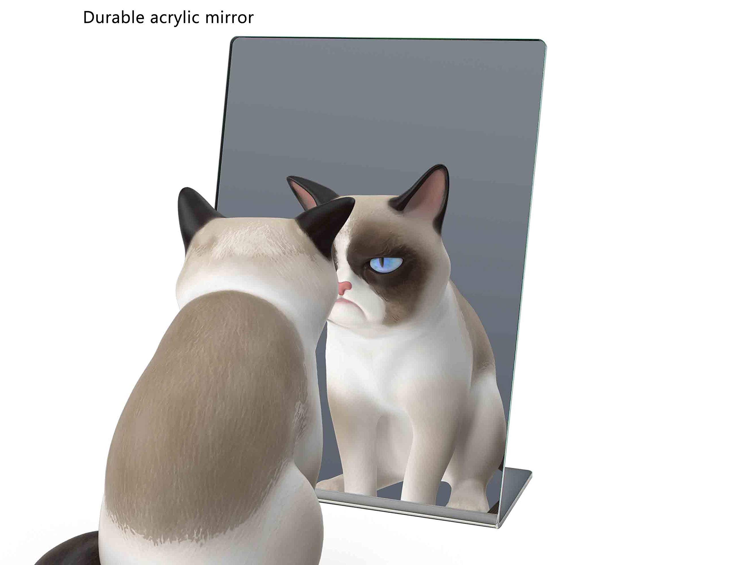 2 Pack Acrylic Mirror 5