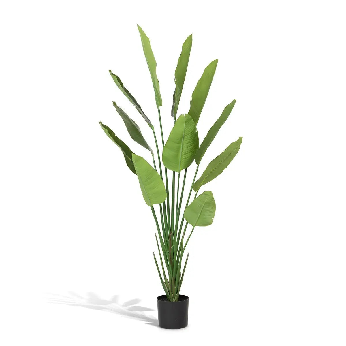 Artificial Traveler Palm Plant in Black Pot - Perfect for Home Decor, Office, and Indoor Greenery