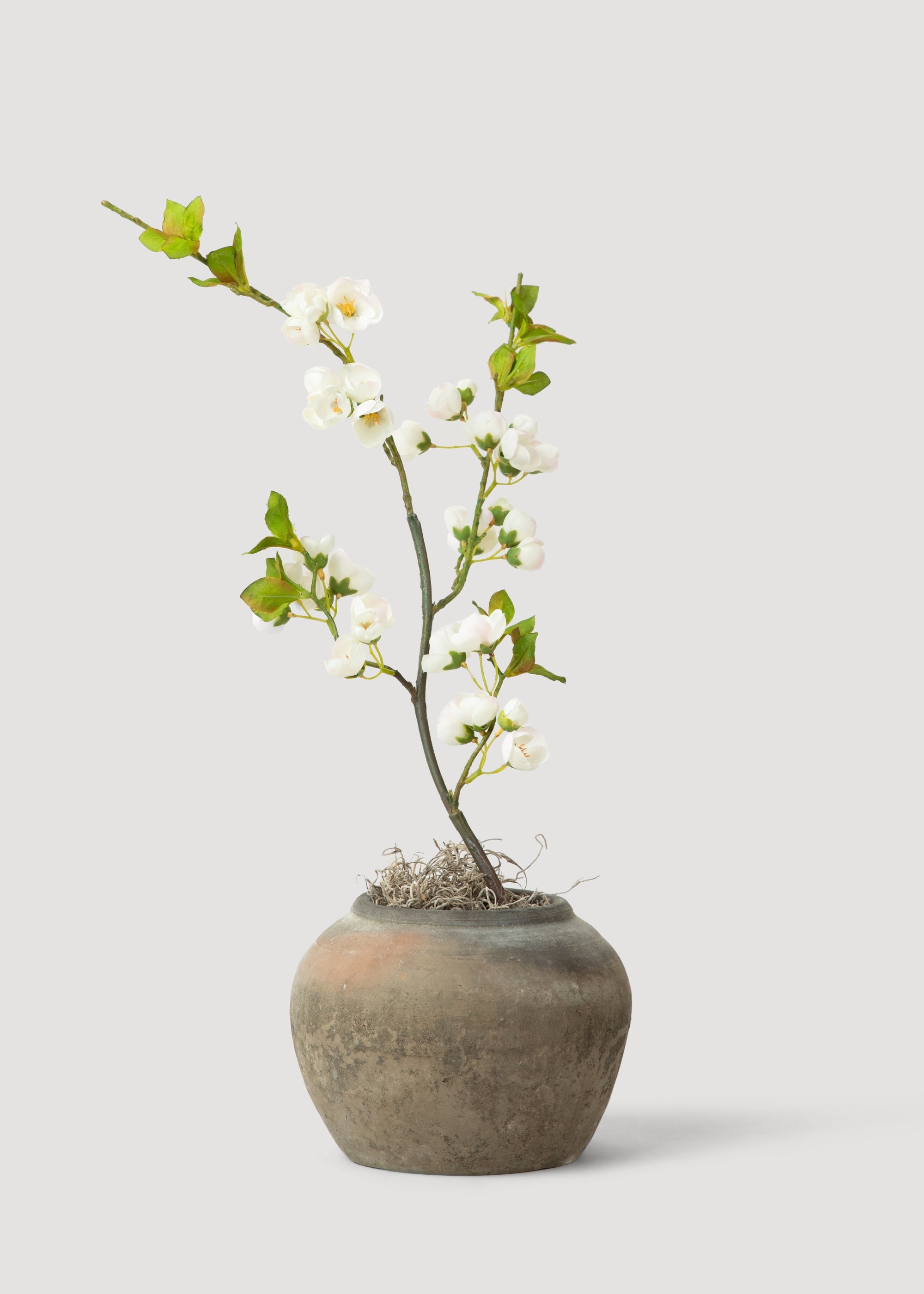 Artificial White Plum Blossom Floral Branch - 31.5