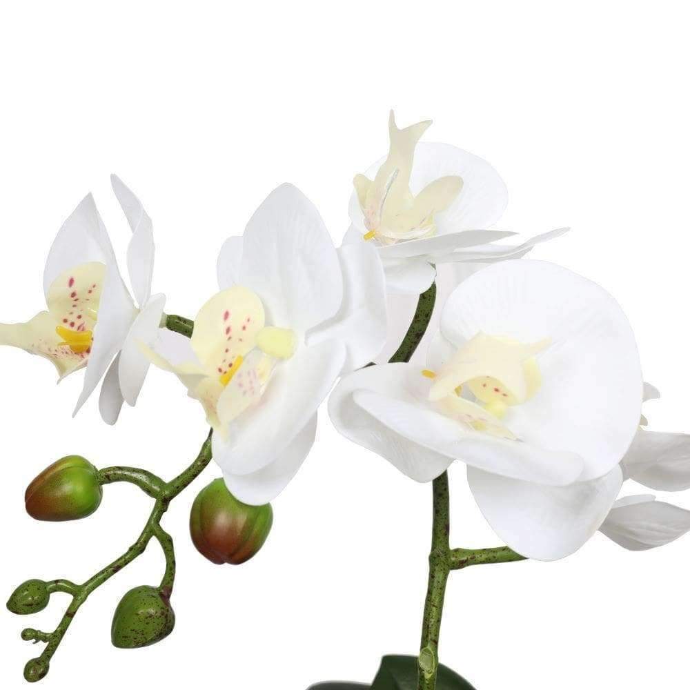 35cm White Phalaenopsis Orchid in Decorative Pot - Elegant Single Stem Potted Plant for Home Decor, Office, Wedding Centerpiece & Gift