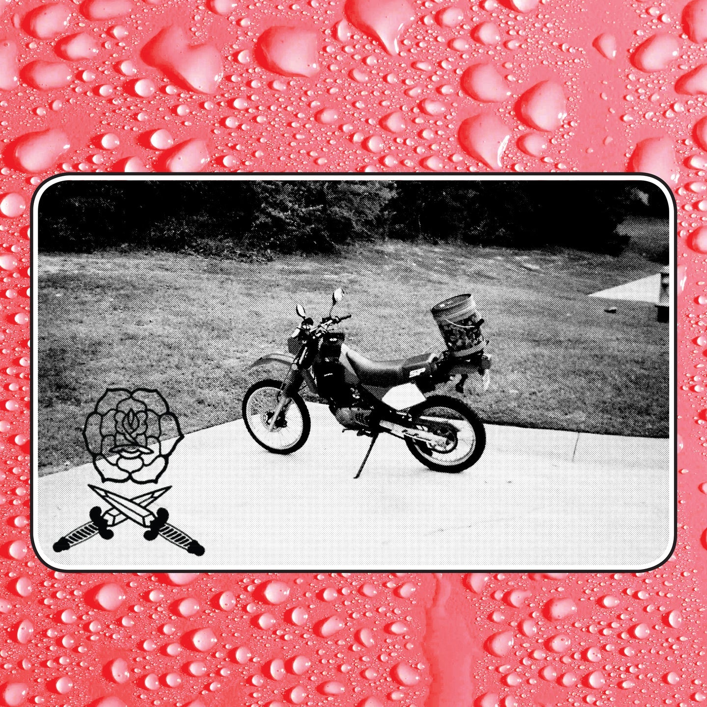 Bass Drum Of Death - Say I Won't (Ivory Vinyl) | Limited Edition Vinyl Record | Perfect for Music Collectors & Indie Rock Fans