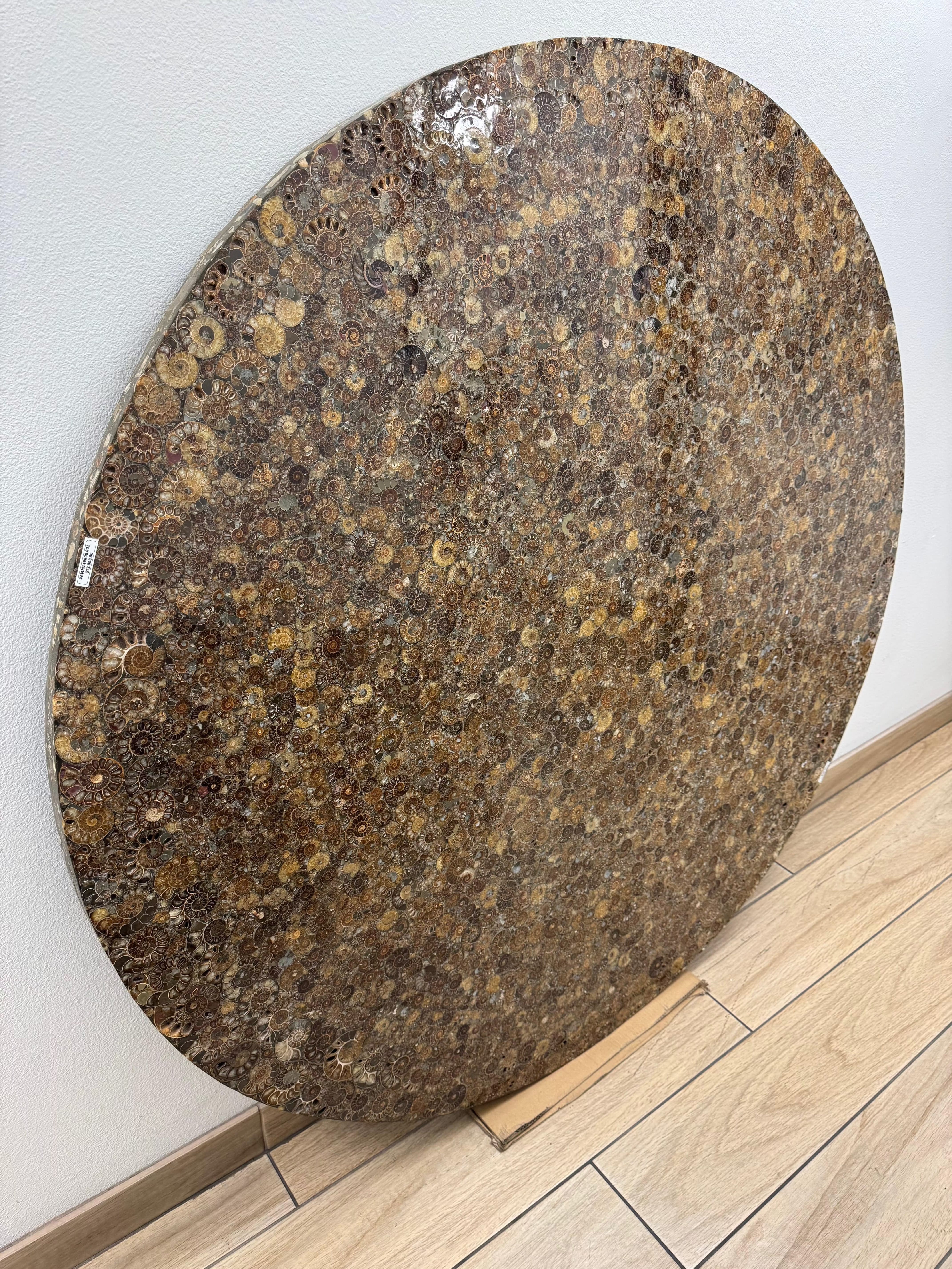 Natural Ammonite Fossil Coffee Table from Madagascar - 59