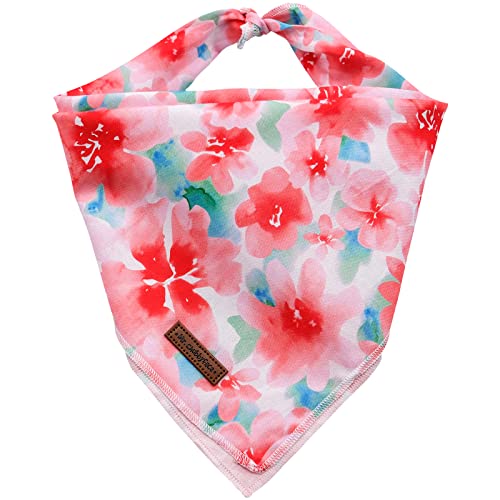 C:Pink Flower