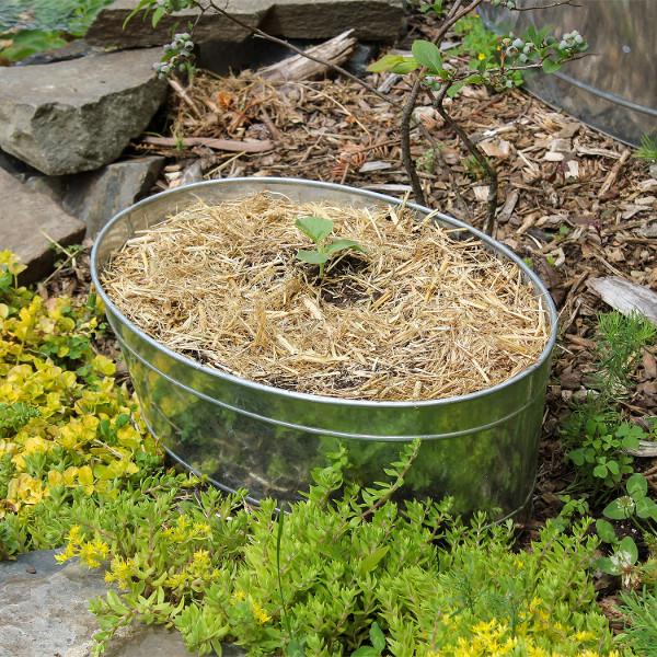 Achla Designs Galvanized Metal Tub 51M C 55 - Perfect for Farmhouse Decor, Garden Planters & Rustic Home Decorating