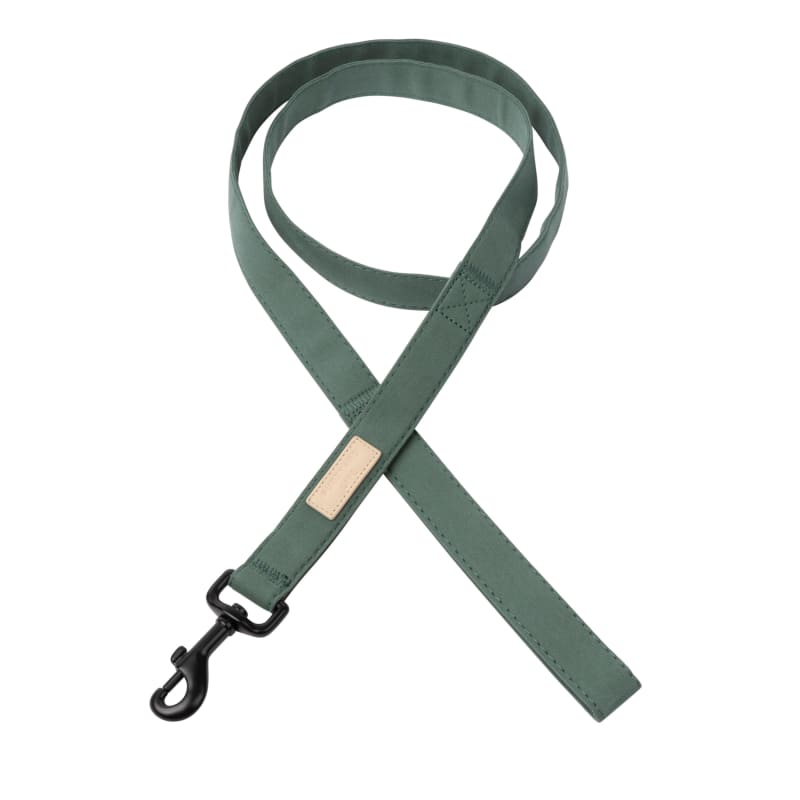 Premium Cotton Myrtle Green Dog Leash - Soft & Durable for Small & Large Dogs | Perfect for Walks, Training & Outdoor Adventures