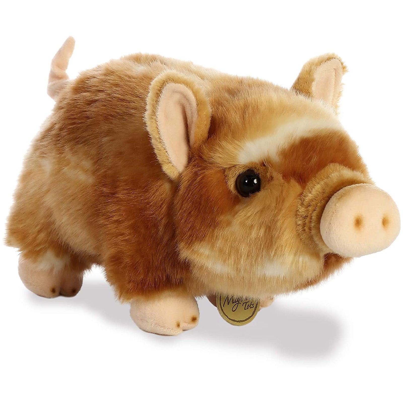 Aurora Miyoni Pot Bellied Piglet 11