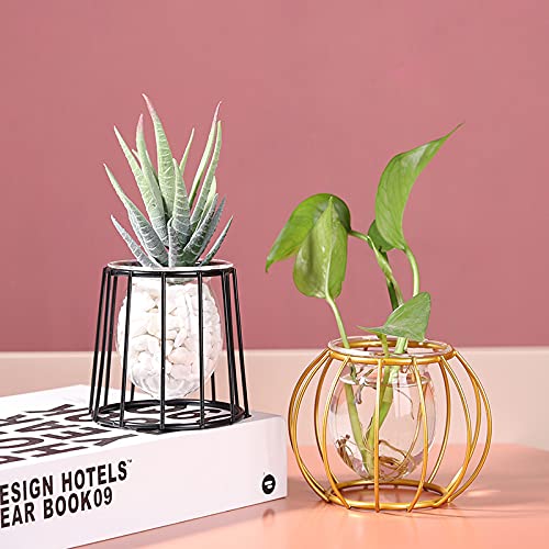 VALINK Modern Glass Vase Planter with Metal Base - Contemporary Floral Container for Home & Office Decor - Perfect for Centerpieces, Wedding Decor, and Living Room Accents