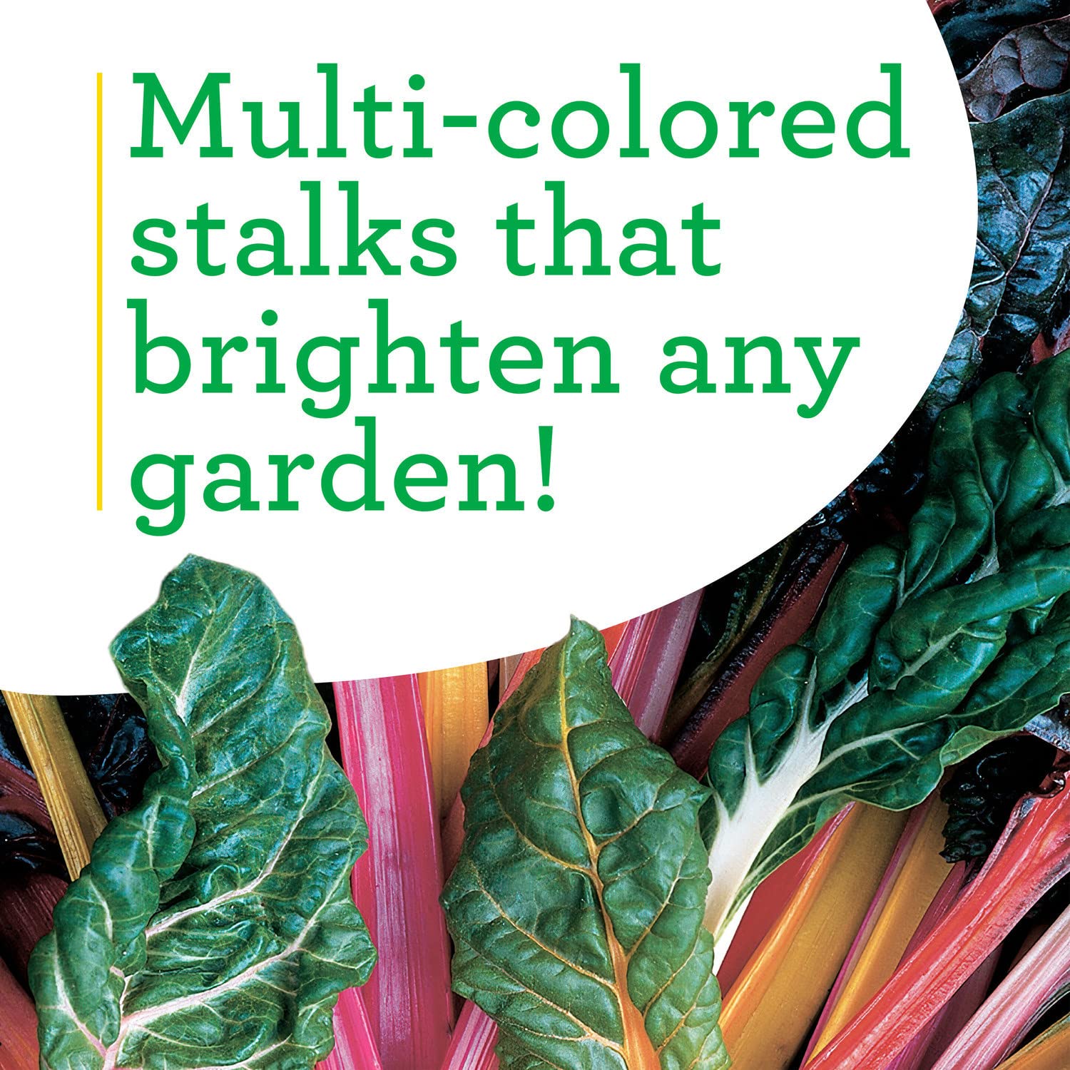 Bonnie Plants Swiss Chard 19.3 oz. 4-Pack - Fresh Leafy Greens for Salads, Soups & Healthy Cooking | Perfect for Home Gardens & Organic Recipes