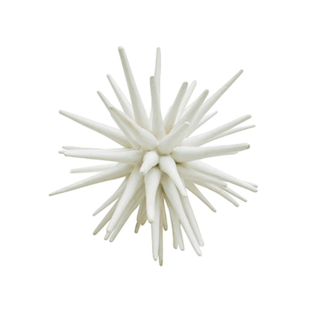 Premium White Sea Urchin Shells - Small, Medium, Large Sizes for Home Decor, Beach Wedding Centerpieces & Coastal Themed Displays
