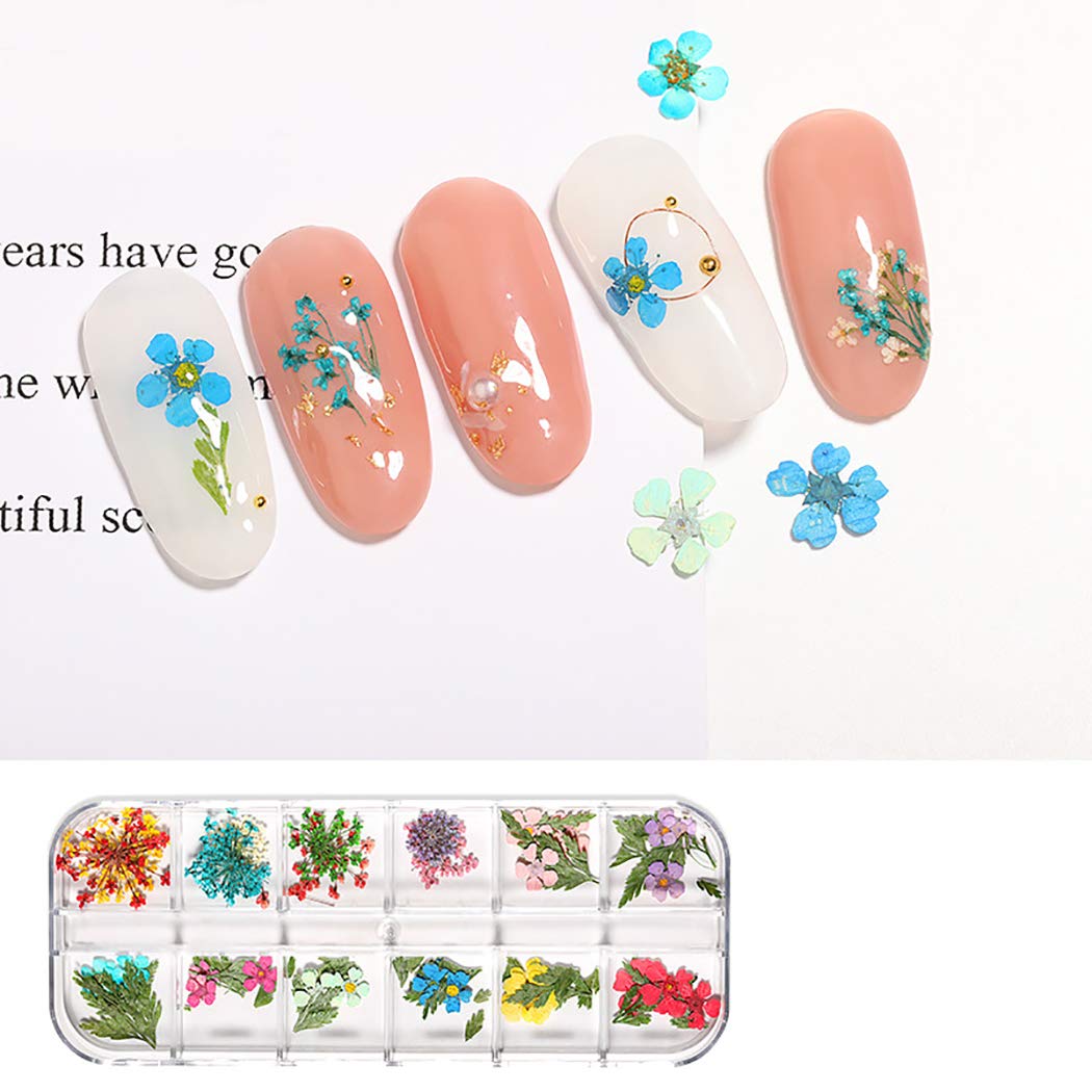 Dorakitten 3 Sets Pressed Dried Flower Nail Art Decorations - Floral Nail Art Supplies & Accessories for DIY Manicure, Wedding, Party Nail Designs