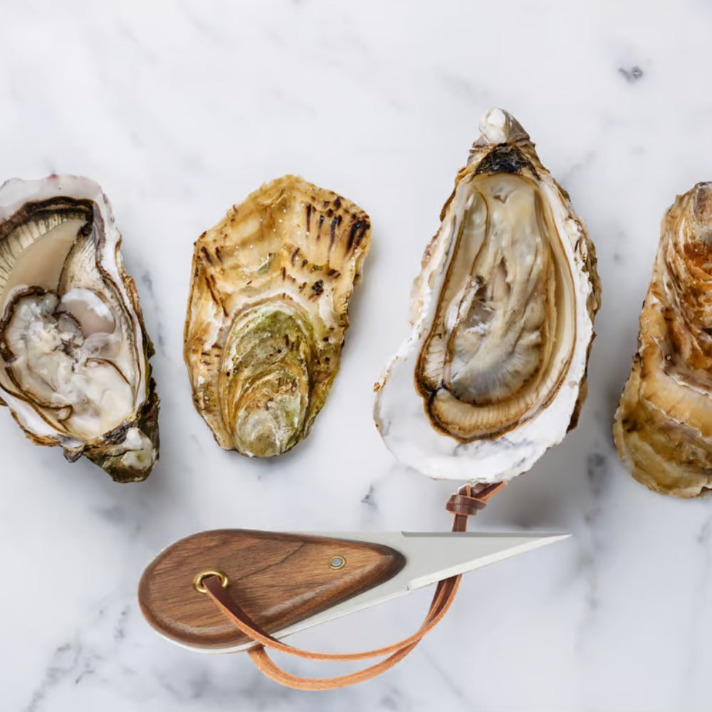 Fox Run By The Sea Oyster Gift Box - Premium Oyster Knife Set with Wooden Box - Perfect for Seafood Lovers, Gourmet Cooking & Beachside Entertaining