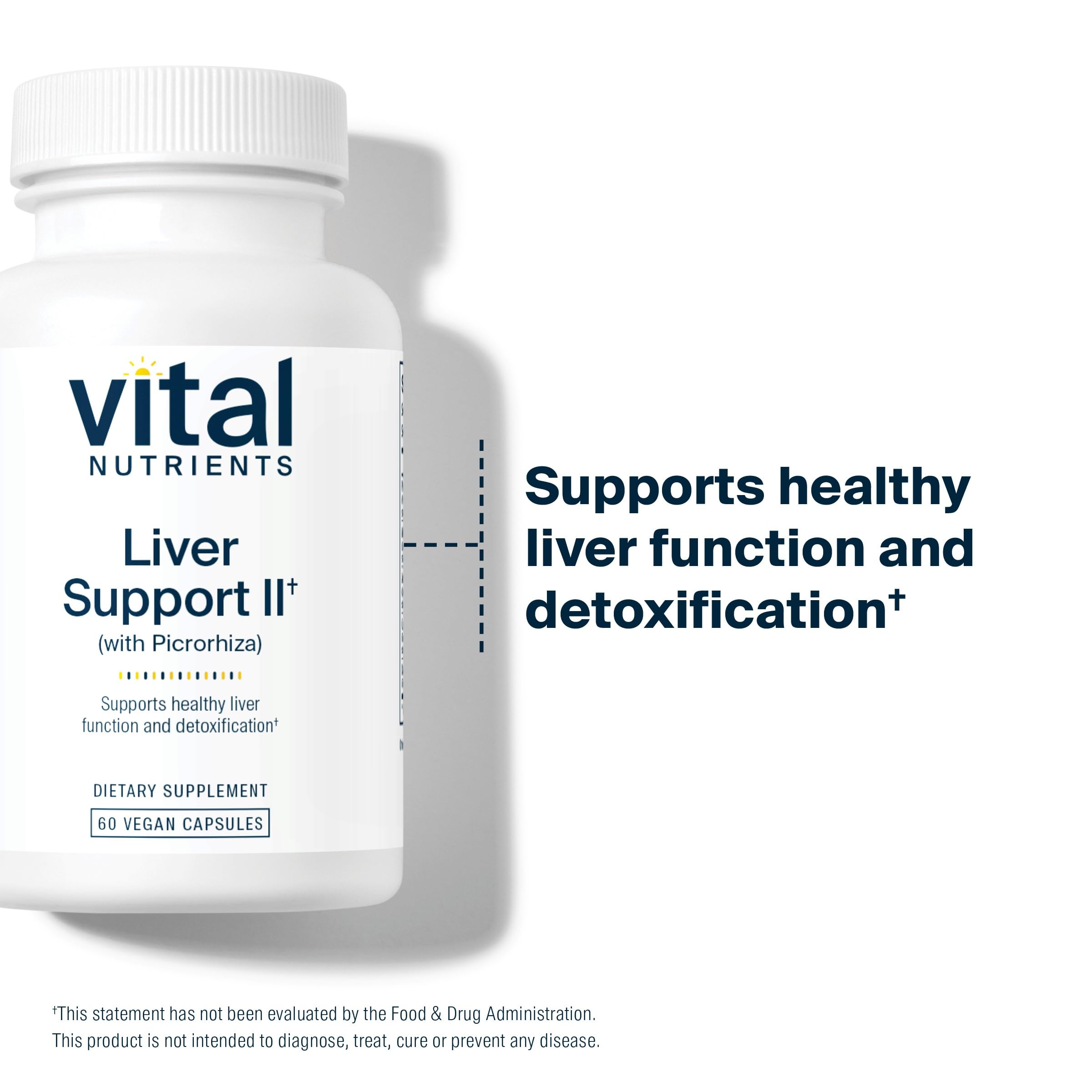 Vital Nutrients Liver Support II Supplement with Picrorhiza, Milk Thistle & Curcumin - Vegan, Gluten-Free Liver Health Formula | 60 Capsules for Detox & Liver Function Support | Ideal for Daily Wellness & Post-Alcohol Recovery