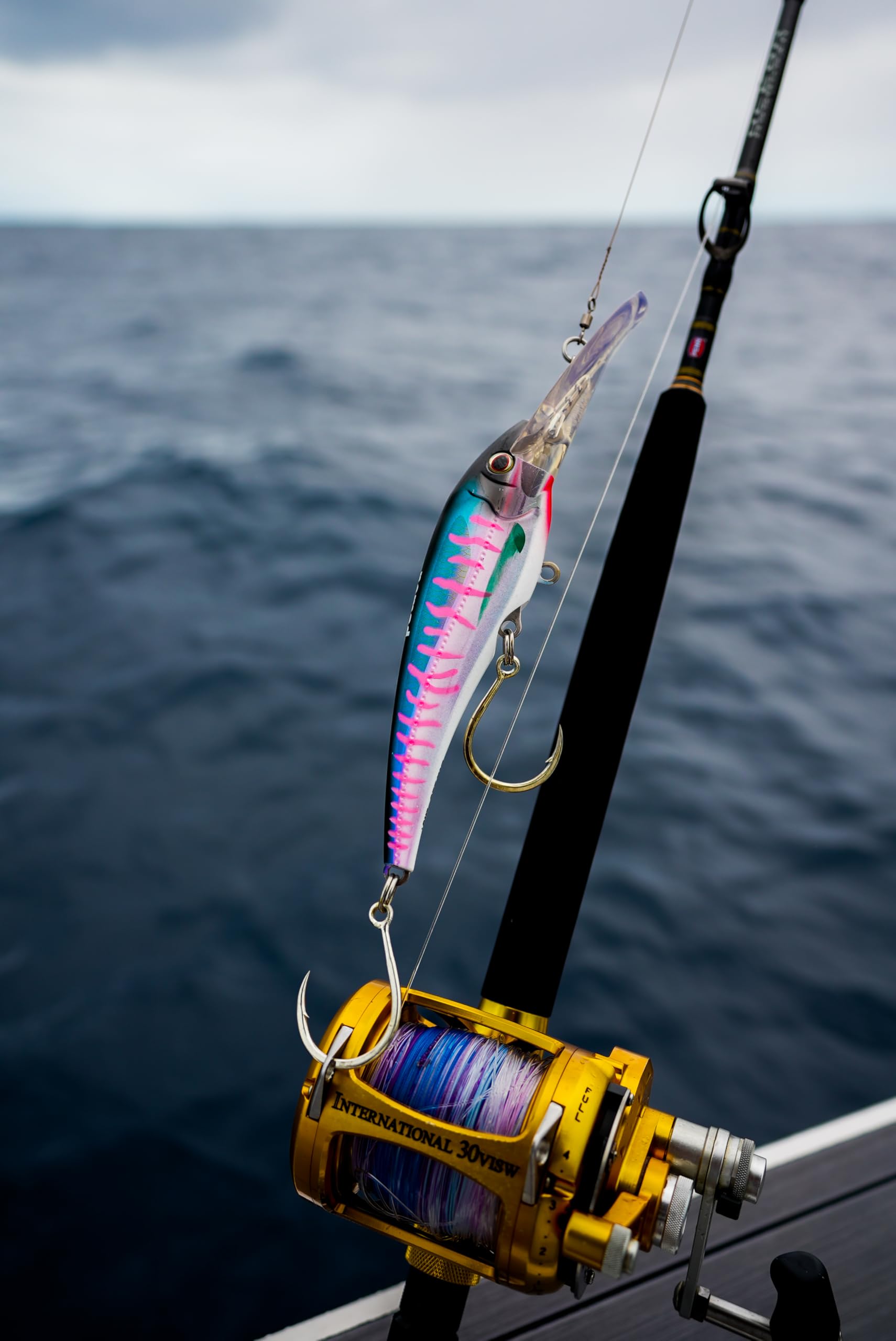 DTX Minnow 220mm Heavy Duty Sinking 9