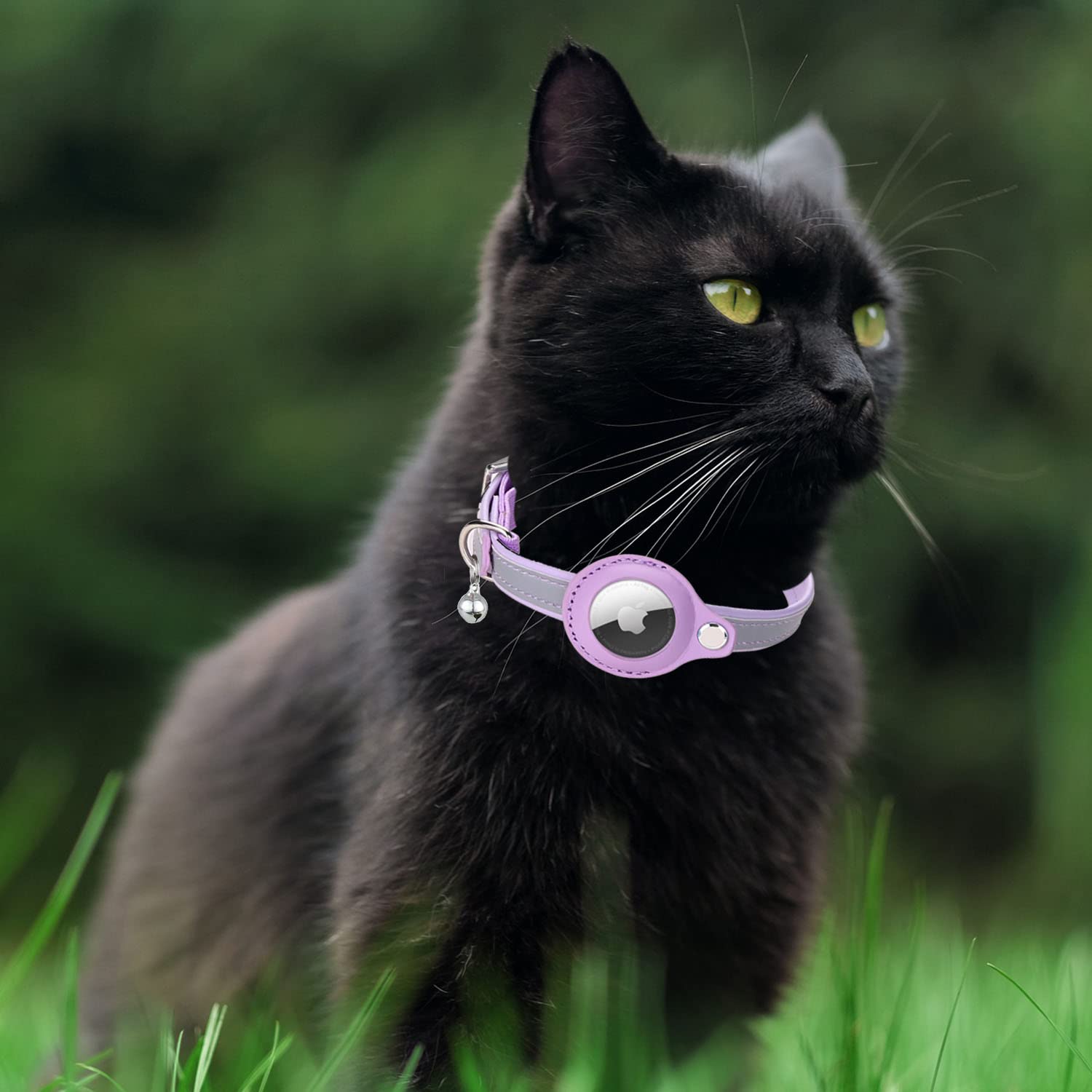 GPS Cat Collar with Reflective Bells - Leather Pet Tracker Collar for Small Cats (Blue/Purple, XS 7.5-10.2
