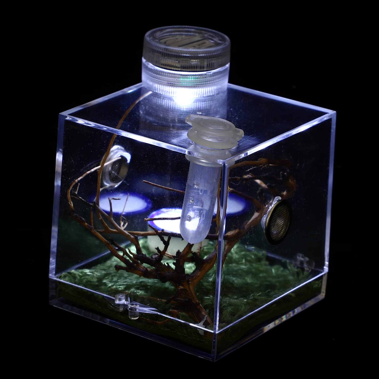 NUOBESTY Spider Habitat Box - Reptile Breeding Enclosure, Spider Landscape Cage & Feeding Box - Ideal for Jumping Spiders, Tarantulas & Pet Reptiles - Perfect for Home Terrariums, Classroom Science Projects & Nature Observation